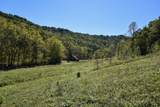 0 Esculapis Fork Road - Photo 7