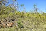 0 Esculapis Fork Road - Photo 8