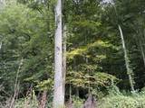 9991 Us-11 Highway - Photo 25