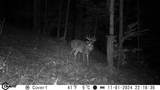 1000 Hidden Acres - Photo 10