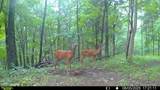 1000 Hidden Acres - Photo 11