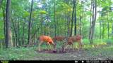 1000 Hidden Acres - Photo 12