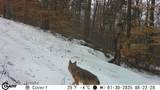 1000 Hidden Acres - Photo 13