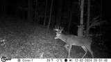 1000 Hidden Acres - Photo 14