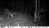 1000 Hidden Acres - Photo 15