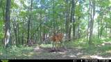 1000 Hidden Acres - Photo 16