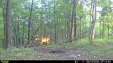 1000 Hidden Acres - Photo 17