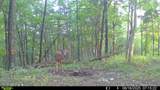 1000 Hidden Acres - Photo 18