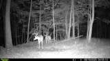 1000 Hidden Acres - Photo 19