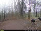 1000 Hidden Acres - Photo 21