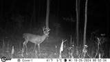 1000 Hidden Acres - Photo 8