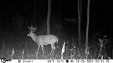 1000 Hidden Acres - Photo 9