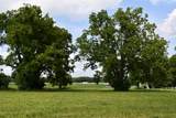 407 Country Lane - Photo 3