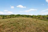 Tract A Goshen Road - Photo 22