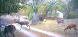 3890 Oregon Road - Photo 21