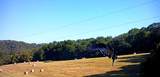 3890 Oregon Road - Photo 25