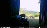 3890 Oregon Road - Photo 29