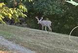 3890 Oregon Road - Photo 35