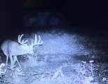 00 Caney Creek Road - Photo 14