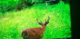 00 Caney Creek Road - Photo 15