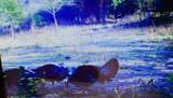 00 Caney Creek Road - Photo 17