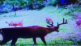 00 Caney Creek Road - Photo 18