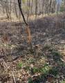 00 Caney Creek Road - Photo 19