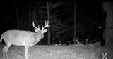00 Caney Creek Road - Photo 20