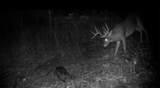 00 Caney Creek Road - Photo 21