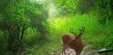 00 Caney Creek Road - Photo 22