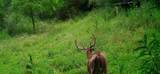 00 Caney Creek Road - Photo 23