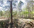 5050 Dry Branch Road - Photo 4