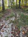 Tract 2 Dunaway Road - Photo 4