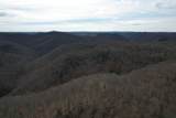 594 Morning Glory Lane - Photo 15