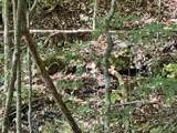 9900 Hector Road - Photo 6