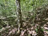 9900 Hector Road - Photo 8