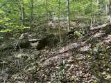 9950 Hector Road - Photo 4