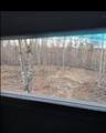 1105 Pendleton Branch Road - Photo 10