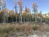 1105 Pendleton Branch Road - Photo 22