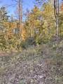 1105 Pendleton Branch Road - Photo 23