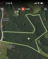 1105 Pendleton Branch Road - Photo 43
