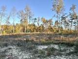 1105 Pendleton Branch Road - Photo 6