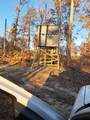 1105 Pendleton Branch Road - Photo 9