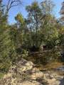 1660 Crocus Road - Photo 11