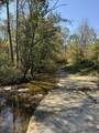 1660 Crocus Road - Photo 12