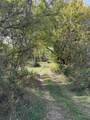 1660 Crocus Road - Photo 6