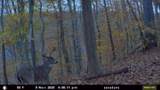 1093 Happy Ridge Road - Photo 11