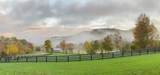 960 Jack Rakes Road - Photo 79