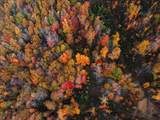 5380 Ky-11 - Photo 17