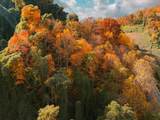 5380 Ky-11 - Photo 25